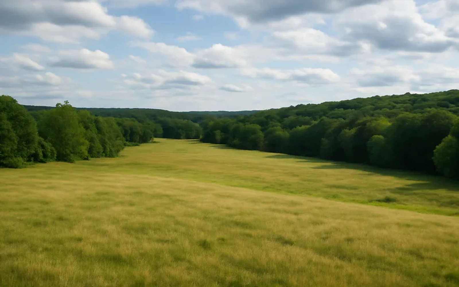 Rural acreage in Berlin