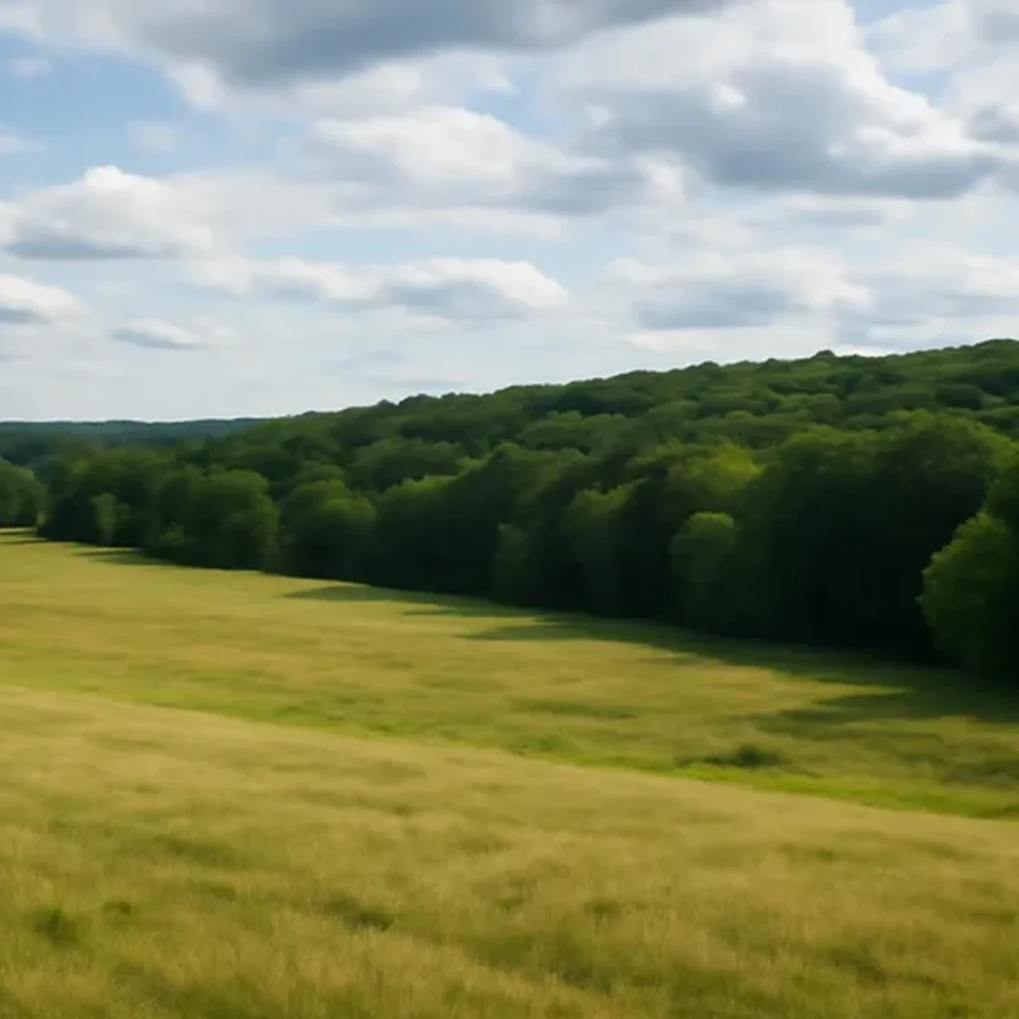 Portsmouth vacant land, wooded acreage, and rural parcels in New Hampshire